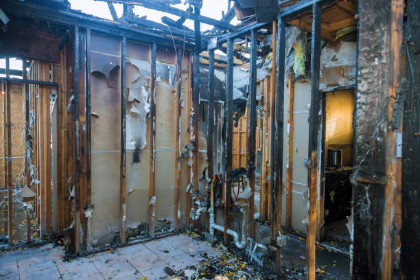 Professional Soot Cleanup technician working in Buckley, WA